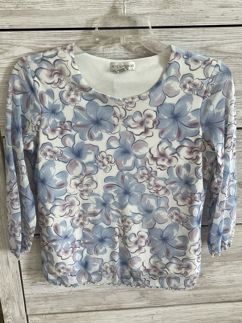 Vintage Petite Sophisticate Watercolor Floral Mesh Coquette Y2K Fairycore Top